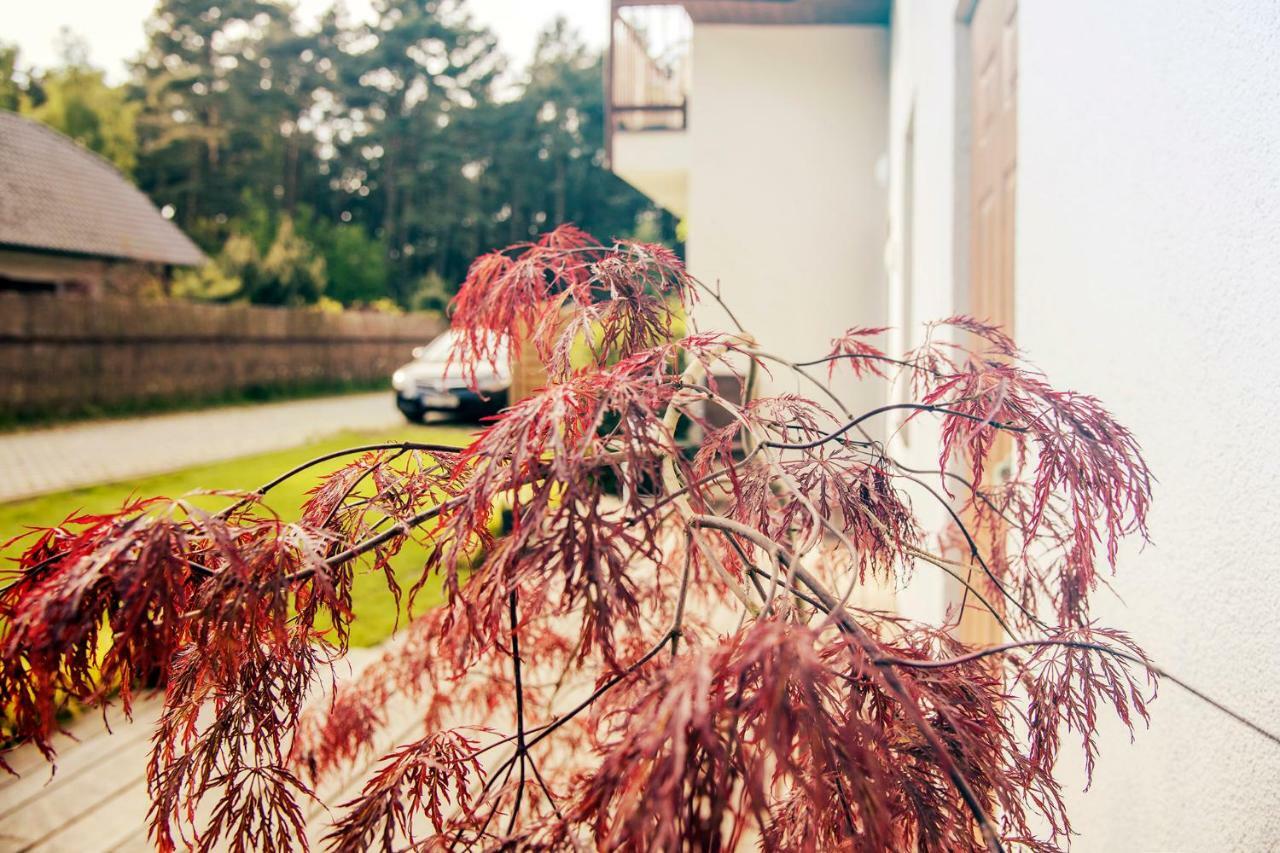 Appartamento Urlop Przy Wydmach Miedzywodzie Esterno foto